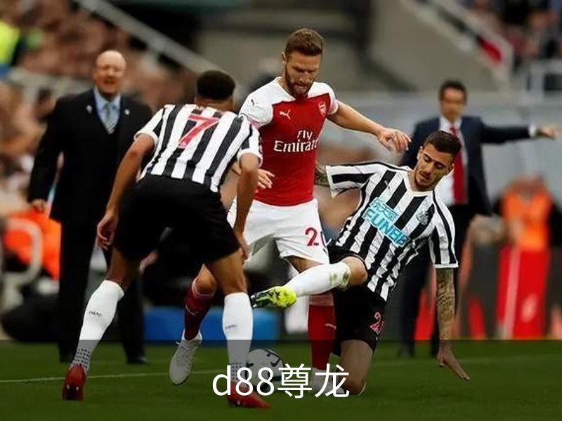 了解d88尊龙